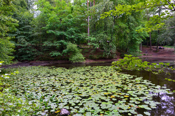 Waldsee an der Barbarossaquelle im Vorspessart Main-Kinzig-Kreis / Hessen	