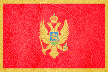 flag of Montenegro on the structure of a tree leaf macro