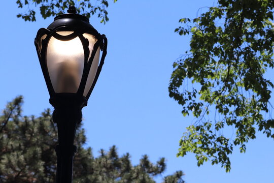 park light in in the aprk