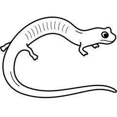 Red Hills Salamander
