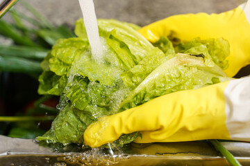 Cleaning fruits and vegetables with latex gloves for coronavirus