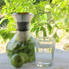 Healthy bottle of water with lime, cucumber and herbs