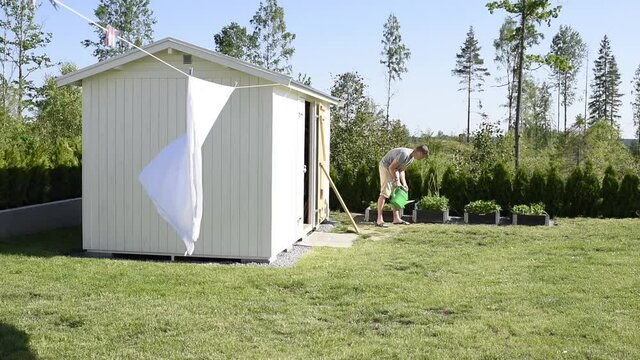 man in his 30's watering his vegetable patch in his garden in summer