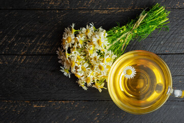 cup of herbal chamomile tea and daisy flowers. doctor treatment and prevention of immune concept, medicine - folk, alternative, complementary, traditional medicine