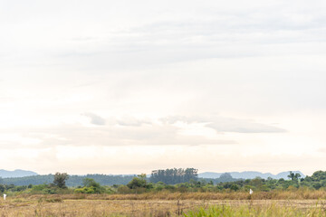 Late afternoon in the fields of the Pampa Biome in southern Brazil