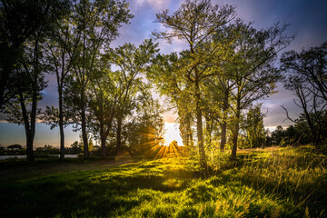 Lumi&egrave;re intense foret en bord de lac B&egrave;gles Bordeaux aquitaine france 