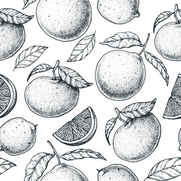 Citrus seamless pattern. Hand drawn vector illustration. Mandarin and orange sketch background. Vintage design template.