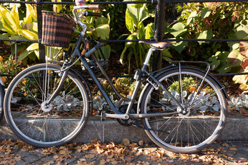 Fototapeta na wymiar Black vintage city bicycle with basket surrounded by autumn leaves in sunny day