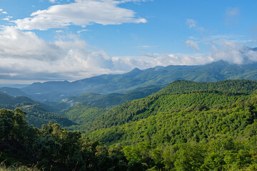 Fototapeta na wymiar Green mountain forest peak scenic view on a blue sky with morning clouds on Montseny mountain peak, Catalonia