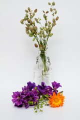 Photo with flowers: calendula blossom and mallow branch at the front, grass with small bulbs in a vintage glass bottle.