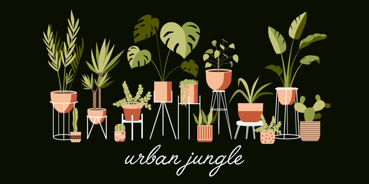 Plant lady green house. Set of cute plants in pots, planters, cacti, tropical leaves. Urban jungle banner, greeting card print. House interior decor elements. Houseplants growing, Home gardening