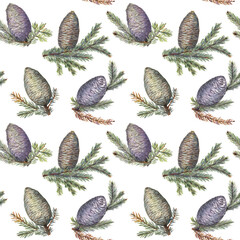 Seamless pattern with cones and fir branches. Fine and detailed watercolor illustration on a white isolated background. Beauty and harmony of nature, for any season and for Christmas. 