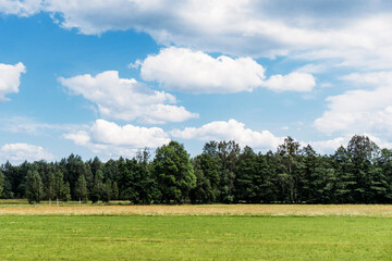 Summer meadow landscape. Rural forest countryside background. Blue cloudy sky over country farm...