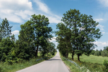 Fototapeta na wymiar Long empty asphalt road in Europe. Forest and green meadow field in Poland. Sunny day with cloudy blue sky. Trees growing by the road. Summer holiday vacation road travel background.