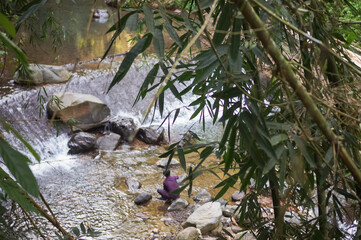 a small waterfall in a river. many stones in the river, leaves from bamboo trees as foreground.