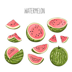 Slice and whole striped red and pink watermelon set with black seeds, sketch style, vector illustration isolated on white background. Realistic hand drawing of a ripe big berry.
