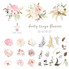 Dusty pink and ivory beige rose, pale hydrangea, peony flower, fern, dahlia - obrazy, fototapety, plakaty