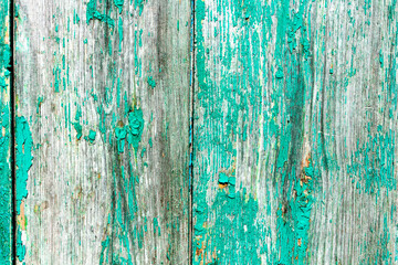 Old rustic painted cracky green, turquoise wooden texture or background