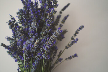 Lavender close up during indoor wedding #1