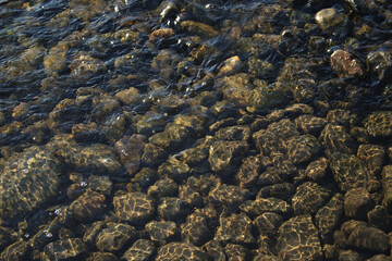 Chada, Paine, Región Metropolitana, Chile