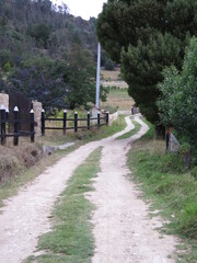 camino de tierra o trocha de vereda
