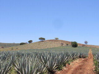 ETZATLAN, JALISCO, MEXICO