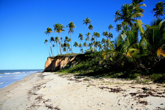 prado, bahia / brazil - julu 18, 2008: view of the beach in the Corumbau region in the municipality of Prado. 
