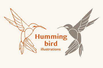 Vector illustration of a  Humming bird © Anna