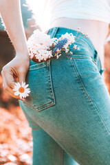 Flowers in the back pocket of blue jeans, a girl in her hand holds a camomile.