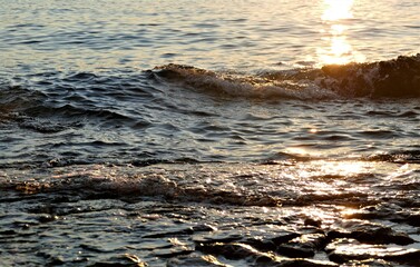 Golden sea and waves in sunset background