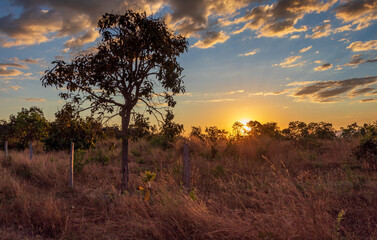 Fototapeta na wymiar Pôr do sol no cerrado em Cavalcante, Goiás, Brasil.