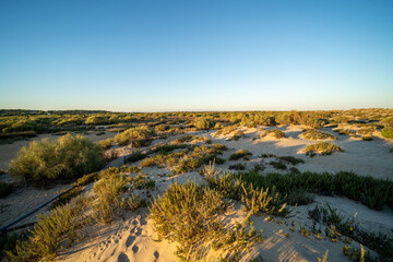 Paisaje de dunas de arena de playa