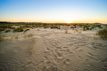 Dunas en la playa al amanecer