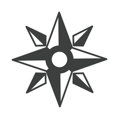 compass rose navigation cartography journey equipment line design icon