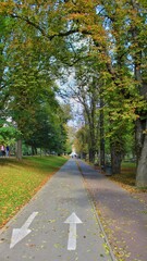road in autumn park
