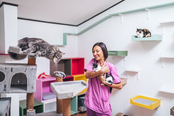Female worker working in animal shelter and pension for cats.