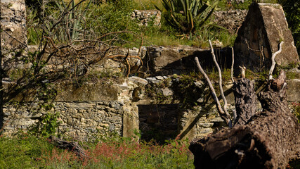 arquitectura antigua