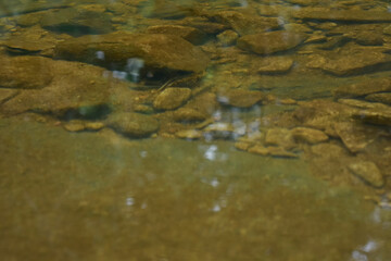 
The water in the stream is clear, clear and naturally beautiful.