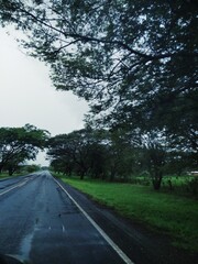 Carretera y lluvia