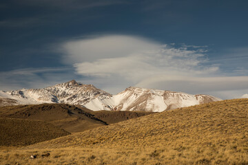 Rural landscape. View of the golden valley, yellow meadow and mountains with snowy peaks in the background. 