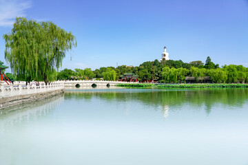 Fototapeta na wymiar Summer in Beihai Park, Beijing, China, the white pagoda and blooming lotus in Beihai Park