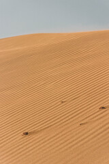 Sand Dunes like a Ruffles