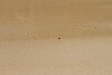 wet sand lit by the soft dawn in Rio de Janeiro