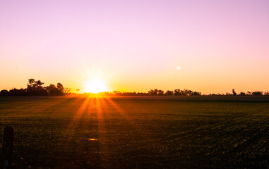 sunset over the field
