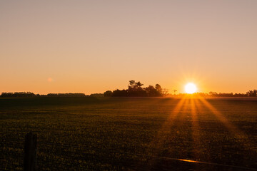 sunset over the field