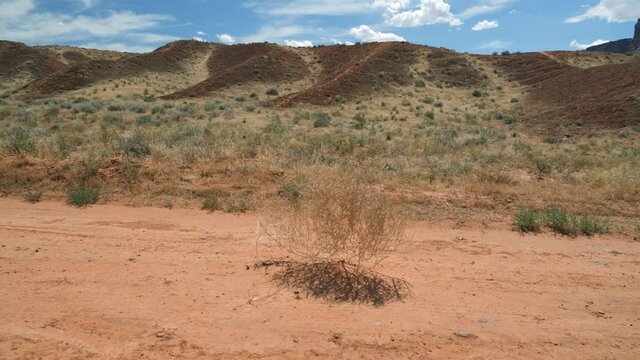 A tumbleweed blowing past in a desolate desert area