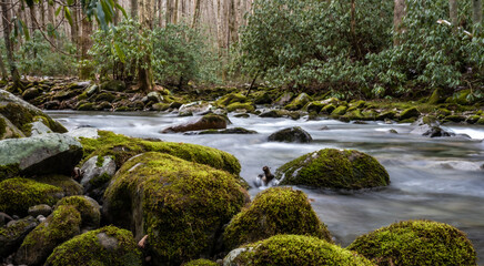 Little River Rushes Past Mossy Boulders