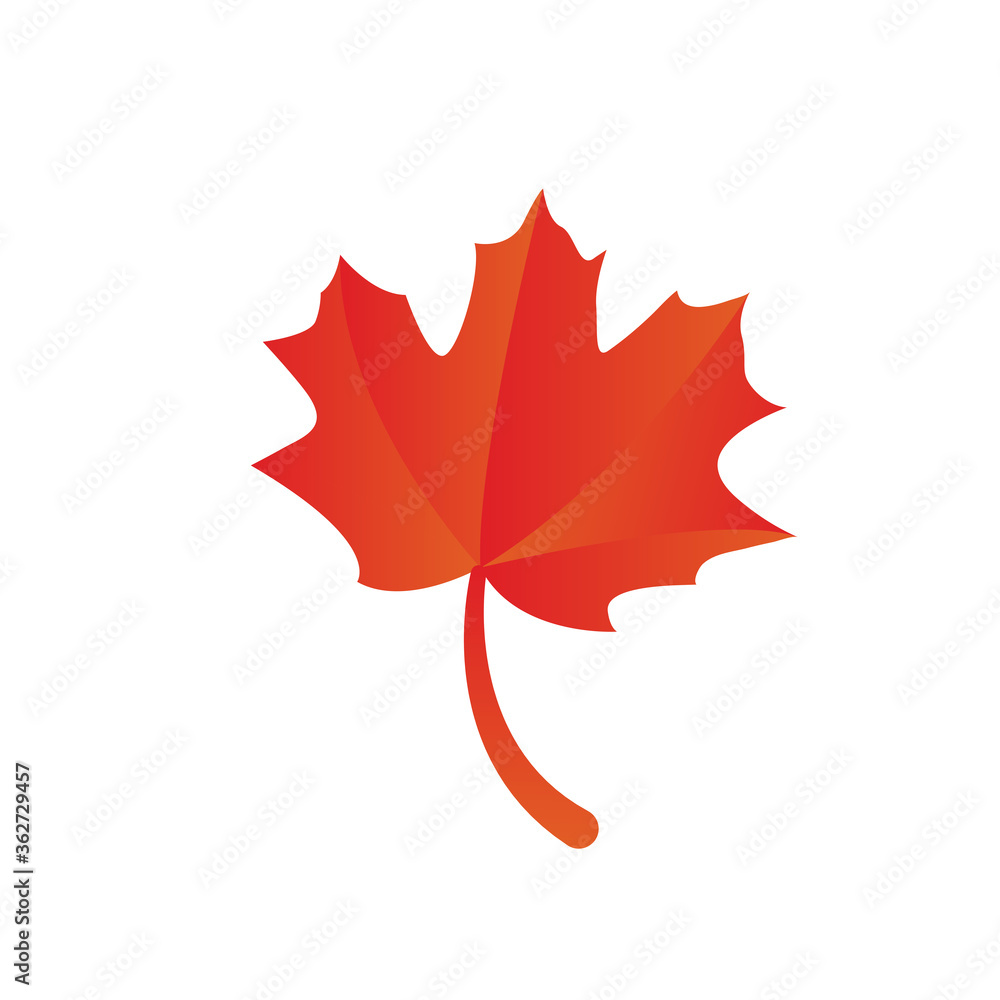 Canvas Prints maple leave graphich design