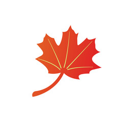 maple leave graphich design
