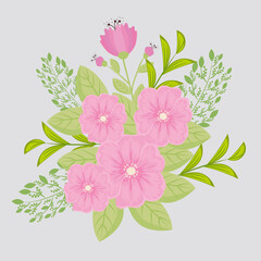 flowers pink color, branches with leaves, nature decoration vector illustration design
